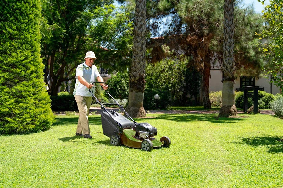 self propelled lawnmower